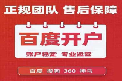 解析SEM推广代运营公司的成功案例及效果